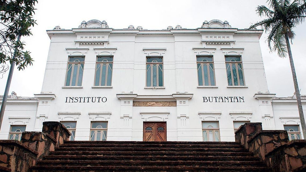 Instituto Butantan