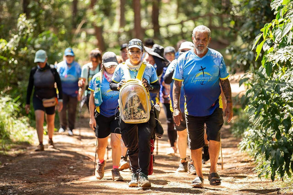Grupo de peregrinos de azul caminha em trilha de floresta; camisetas Peregrinos de Esperança, clima sereno.