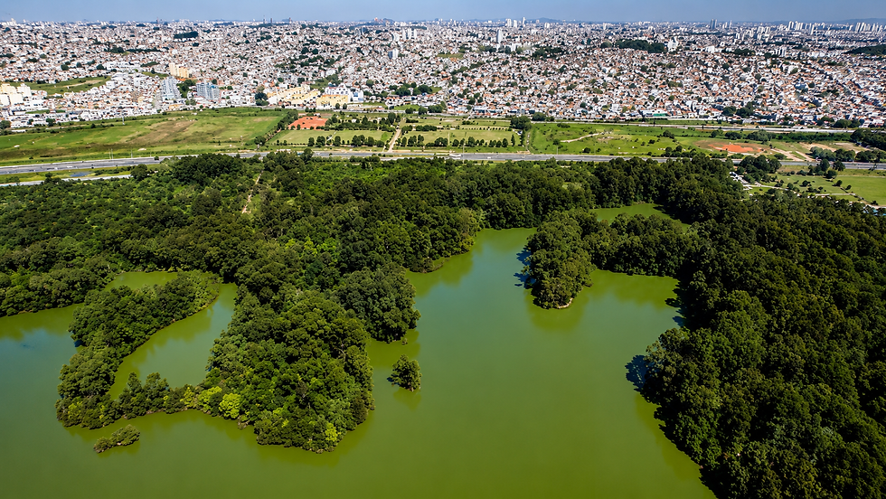 Vista aérea de lago verde cercado por mata densa, com cidade espalhada ao fundo sob céu claro.