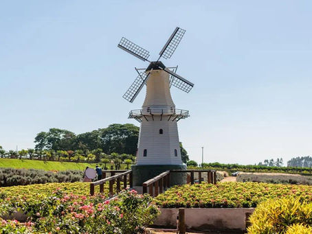 Holambra: a cidade das flores no interior de São Paulo que parece um pedaço da Holanda no Brasil