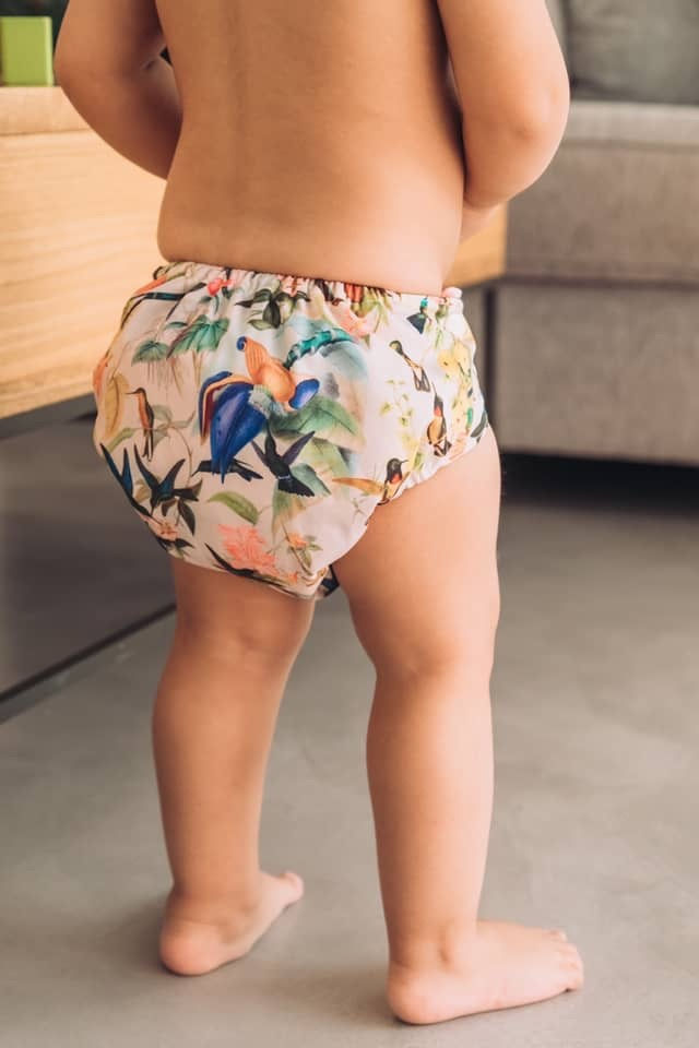 Thumbnail: Reusable Nappy Alice, Bop & Bee