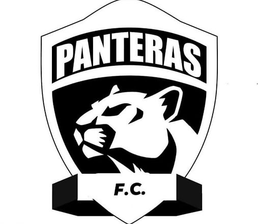 LOGO PANTERAS.jpg