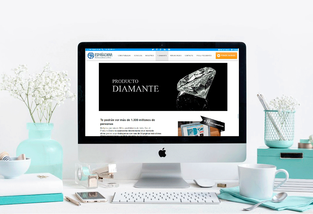 gif-web.gif