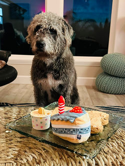 82A73582-195E-4BCB-B98C-D550AFCB6766_1_102_o