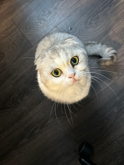 EDF4685C-47A5-482C-837E-3969F67ECDE3_1_105_c