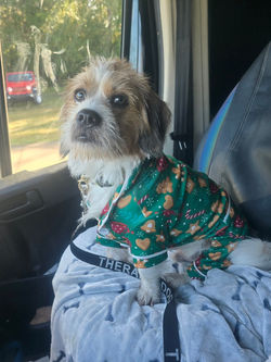 85561A53-CBA7-44DF-A50D-9DA1FA05822A_1_105_c