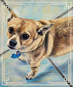 6349CB4B-EDA6-40C4-A377-CEDD7B2CF5EE