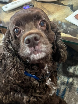 8A8EA6A0-6079-4315-99F2-D386C7AD9FE7_1_105_c