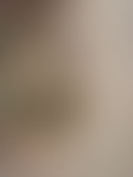 Ponte do bairro dos Oliveiras em estado deplorável faz uma semana sem reparo.