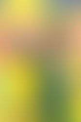 SÉRGIO JIMENEZ CONQUISTA PRIMEIRA VITÓRIA NA STOCK CAR - Via Piedade de fato