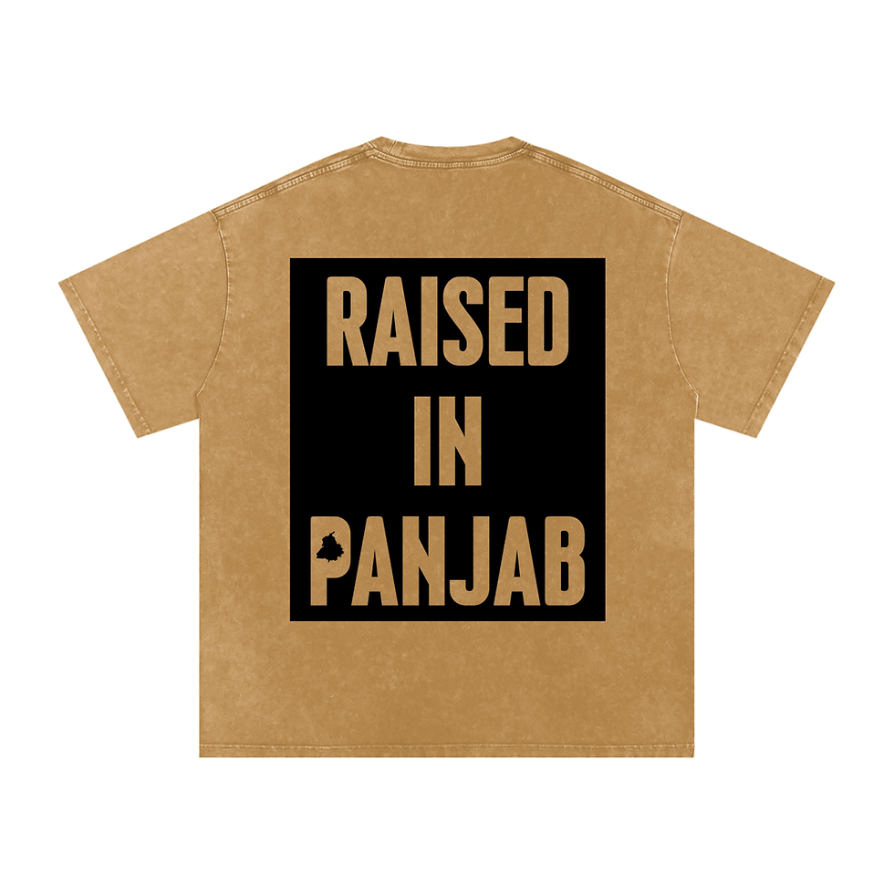 Thumbnail: [RAISED IN PANJAB] | Acid Wash T-Shirt