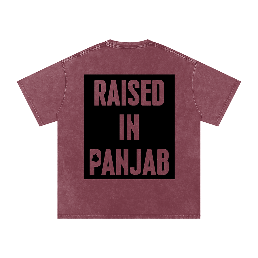 Thumbnail: [RAISED IN PANJAB] | Acid Wash T-Shirt