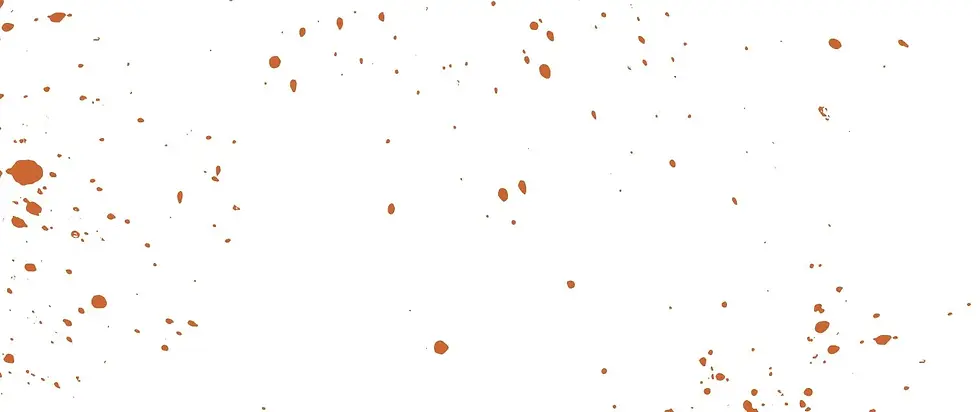 2D.webp