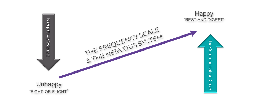 navigating the frequency scale and the nervous system to combat burnout in business
