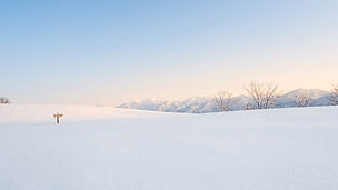 Gemini_Generated_Image_5y0kfq5y0kfq5y0k.jpg