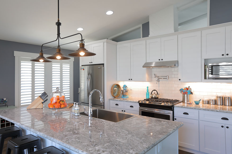 Deena Kitchen 2