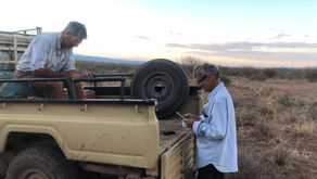 Diary update: a beautiful rest day 