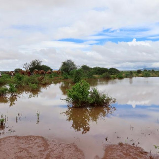 Shangadony dam on Lumo Conservancy
