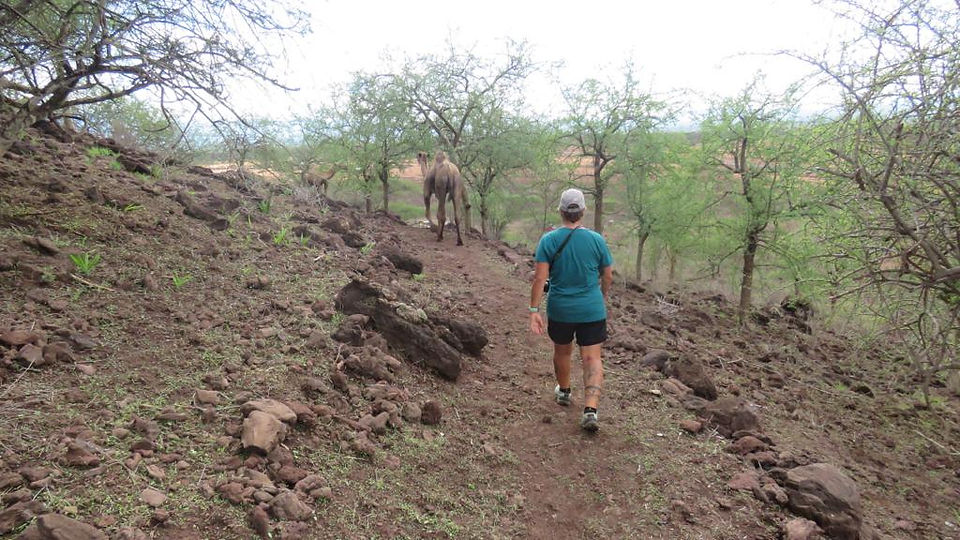 Walking up Salaita Hill