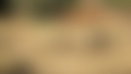 Travel Diary: A days rest for the team in Bisil.