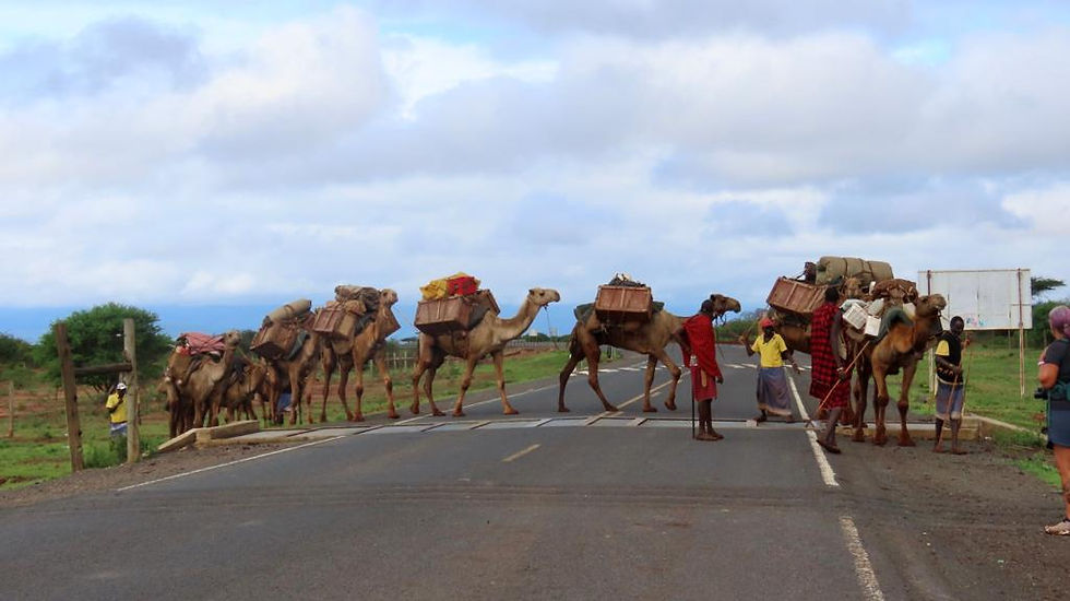 The road to Maktau - November 16