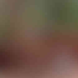 John standing in the eroded washout