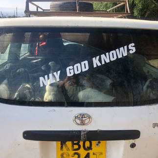 Got to love a Probox - 1000’s of uses, including carrying goats