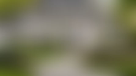 The Importance of Enhancing the Curb Appeal of your Home 