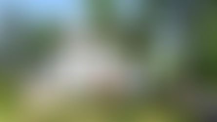 An amazing historic home for sale in Keymar, Maryland