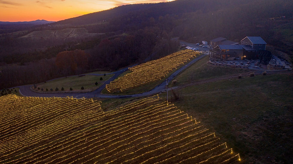 The annual Lighting of the Vines at Bluemont Vineyard, a winter tradition that wraps the dormant rows in warm light against the eastern slope of the Blue Ridge.