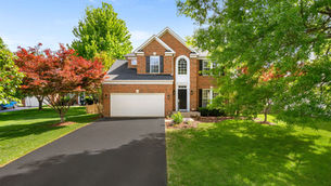 Front exterior of 42839 Champney Court, a brick colonial home for sale in the Broadlands community of Ashburn, Virginia 20148, framed by Japanese maples and mature trees.