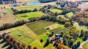 Winery for Sale in Lovettsville VA