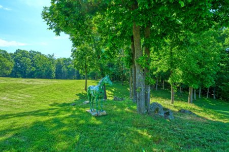 Grounds at 21990 Oatlands Road, Aldie, VA