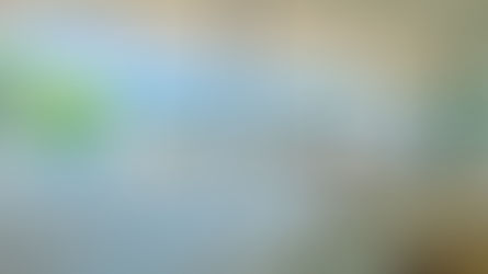 The One for Caribbean Living: Prime Oceanfront Land in Jamaica's Hanover Parish