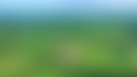 Twin Notch Farm - A luxury vineyard equestrian estate in Loudoun County