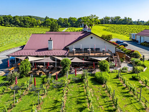 Aerial view of the outdoor seating area at Pearmund Cellars, surrounded by Chardonnay vines in Broad Run, Virginia