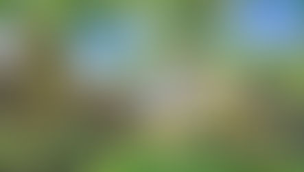 Chamblin Mill is a historic luxury creekfront estate in Loudoun County