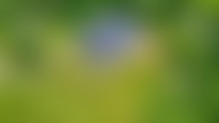 15674 Factory Street, Waterford, VA