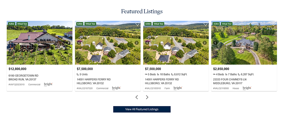 With an embedded IDX feed from iHomefinder, Peter's site allows visitors to directly browse listings from his local MLS.