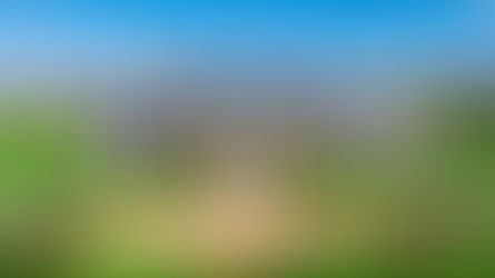 Equestrian Estate for Sale in The Plains VA