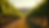 Eye-level view of vineyard rows stretching into the distance