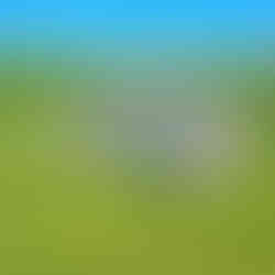 Aerial view of Lookout Lane Estate in Waterford, VA