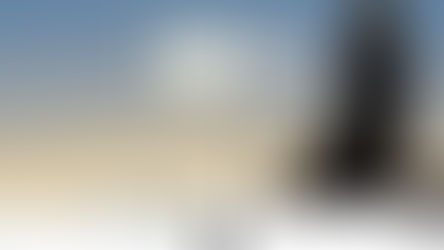 Game Review | 80 Days