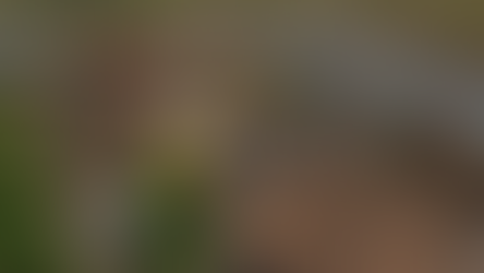 Banished | The Hobbit: The Desolation of Smaug