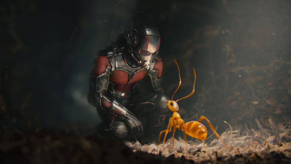Ant-Man (Paul Rudd) tests his abilities in Ant-Man