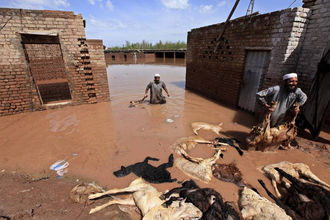 Fuertes inundaciones dejan al menos 80 muertos en Pakistán y Afganistán