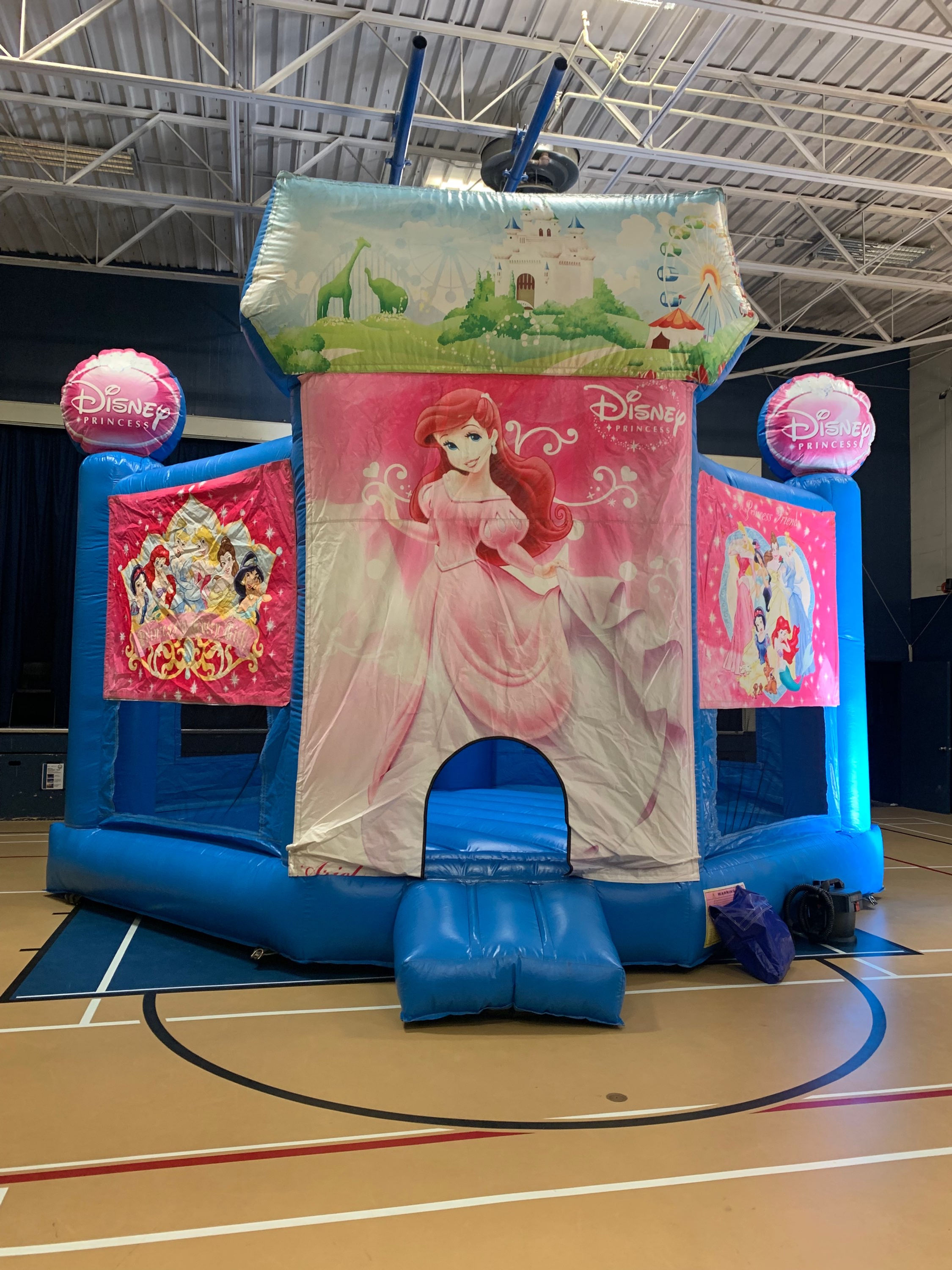Princess bouncer