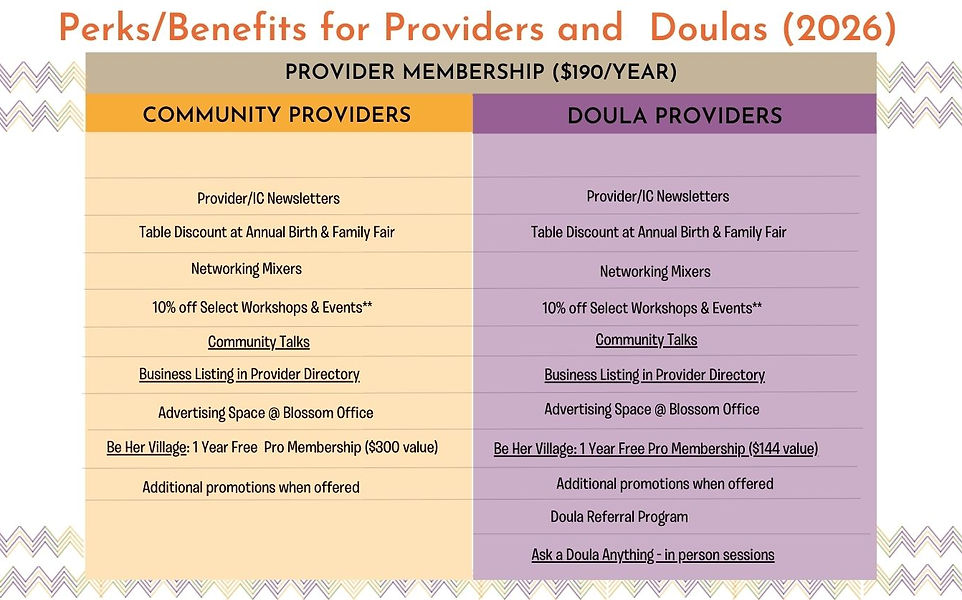 2025 WS Provider vs. IC Perks & Benefits (12).jpg