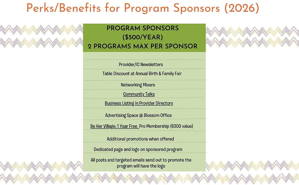 2025 WS Provider vs. IC Perks & Benefits (10).jpg