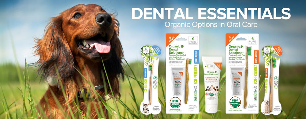 Dental_NEW_DENTAL.jpg